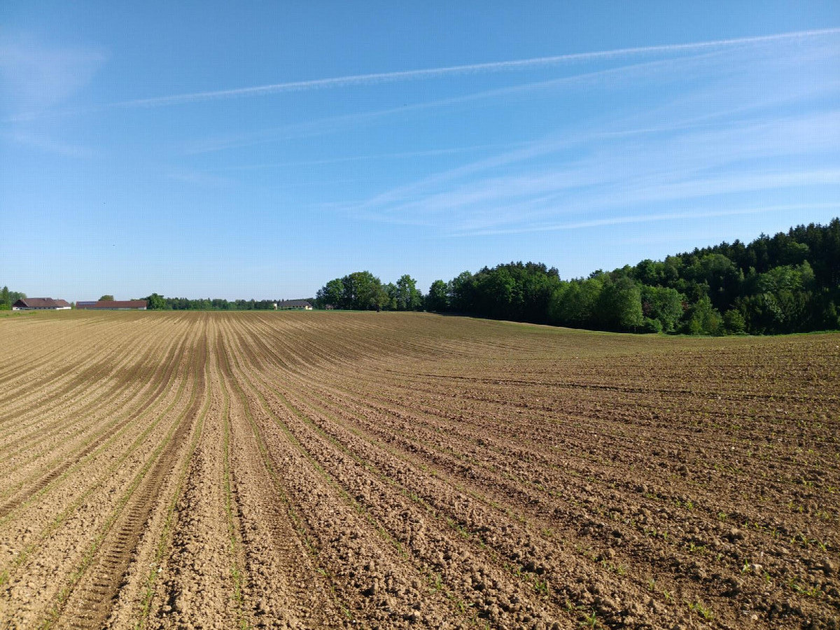 Norden; view north