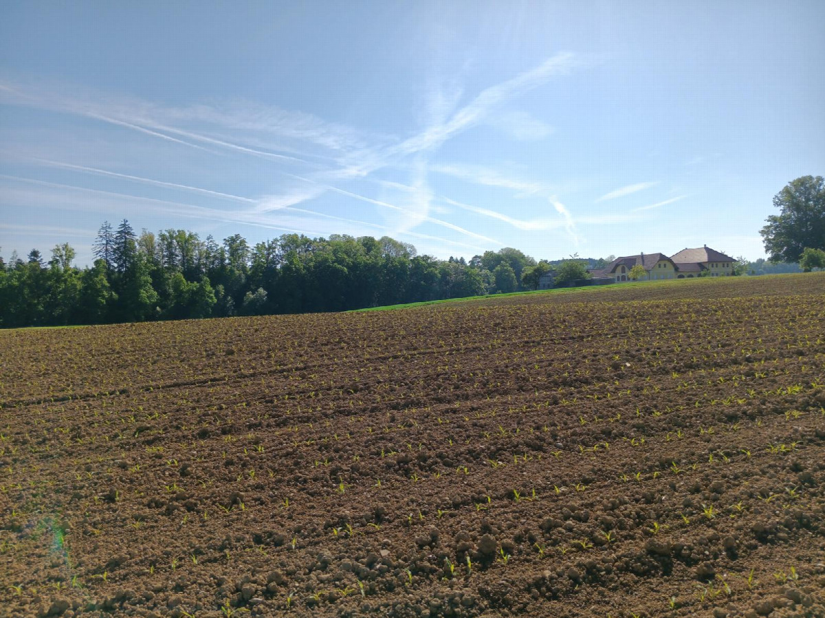 Osten; view east