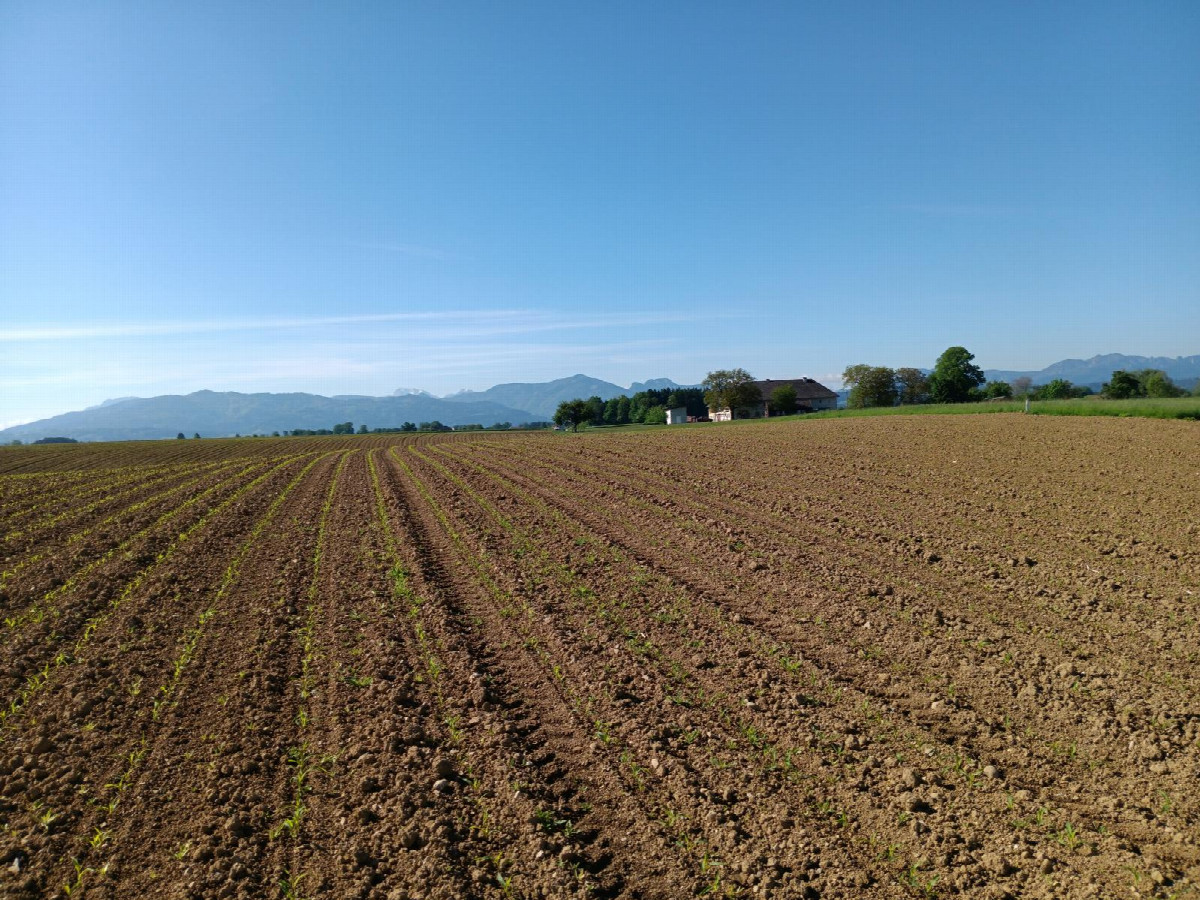 Süden; view south