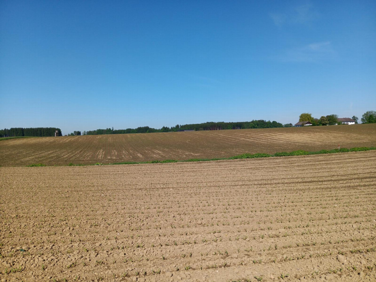 Westen; view west