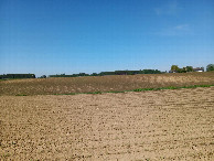 #4: Westen; view west