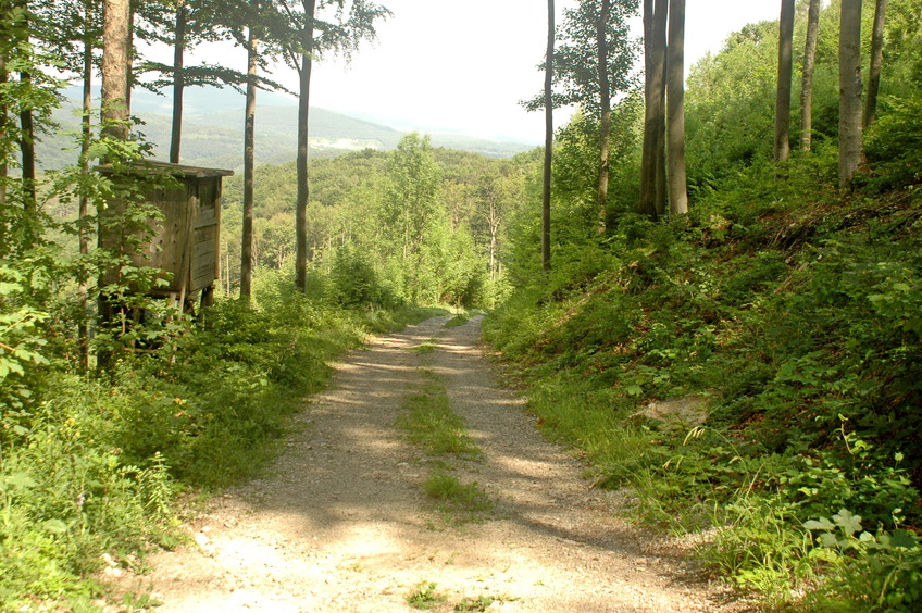 Road in 200 m from CP