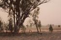#7: Our hill now obscured by the dust storm