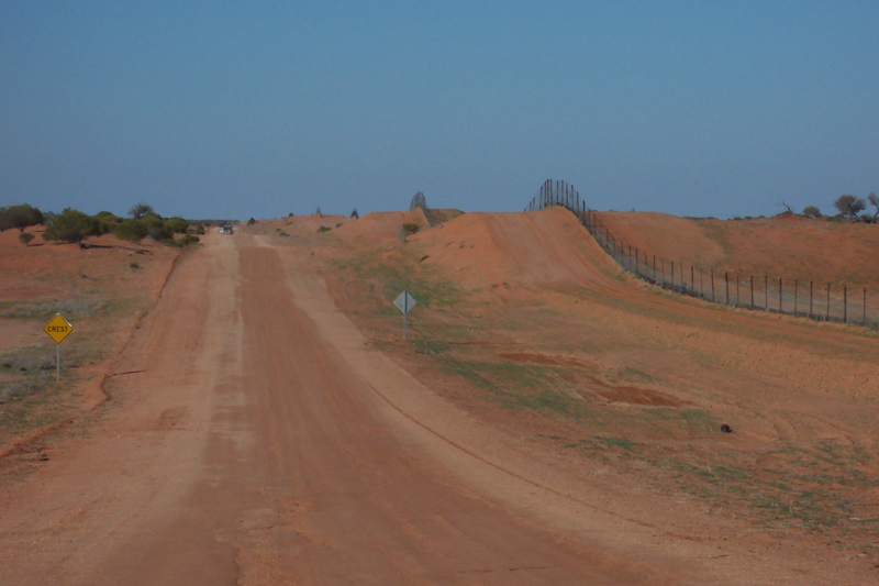 Road along NSW-SA border beside "Dog-proof" fence
