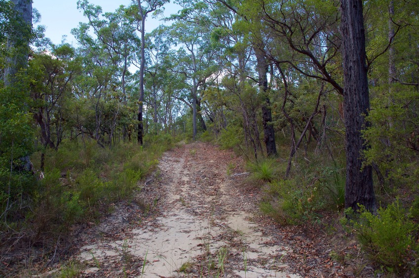 The "Muddle Gully Fit" trail passes just 200 m north of the point