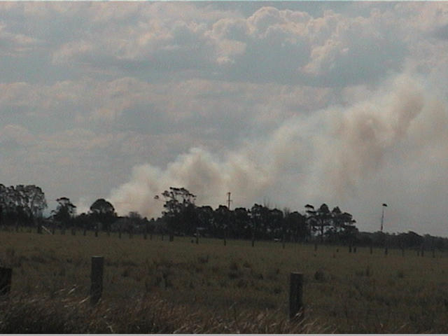 A bushfire burns in the distance.