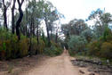 #3: Mt Carl Road which leads to the confluence