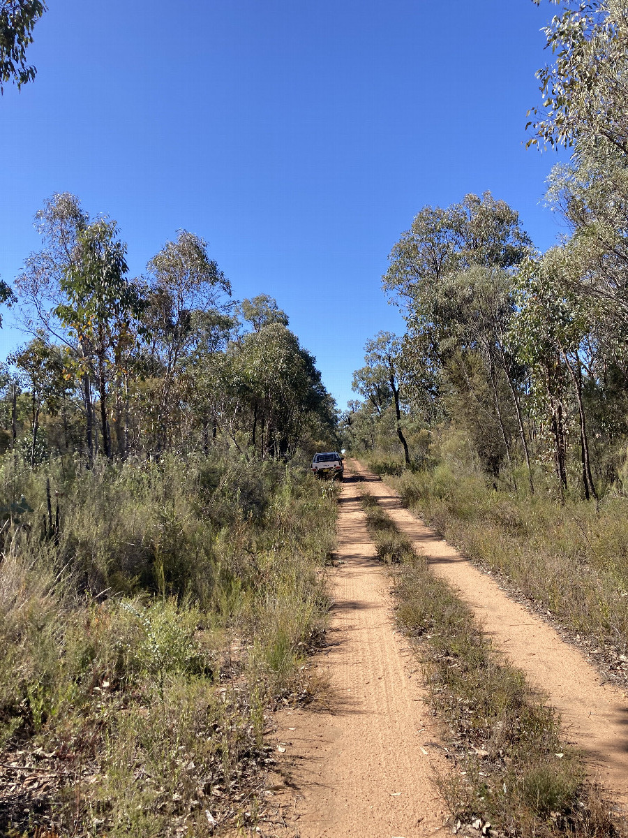The ute parking on Mount Carl Trail