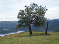 #9: Overview of the Confluence from 200 m
