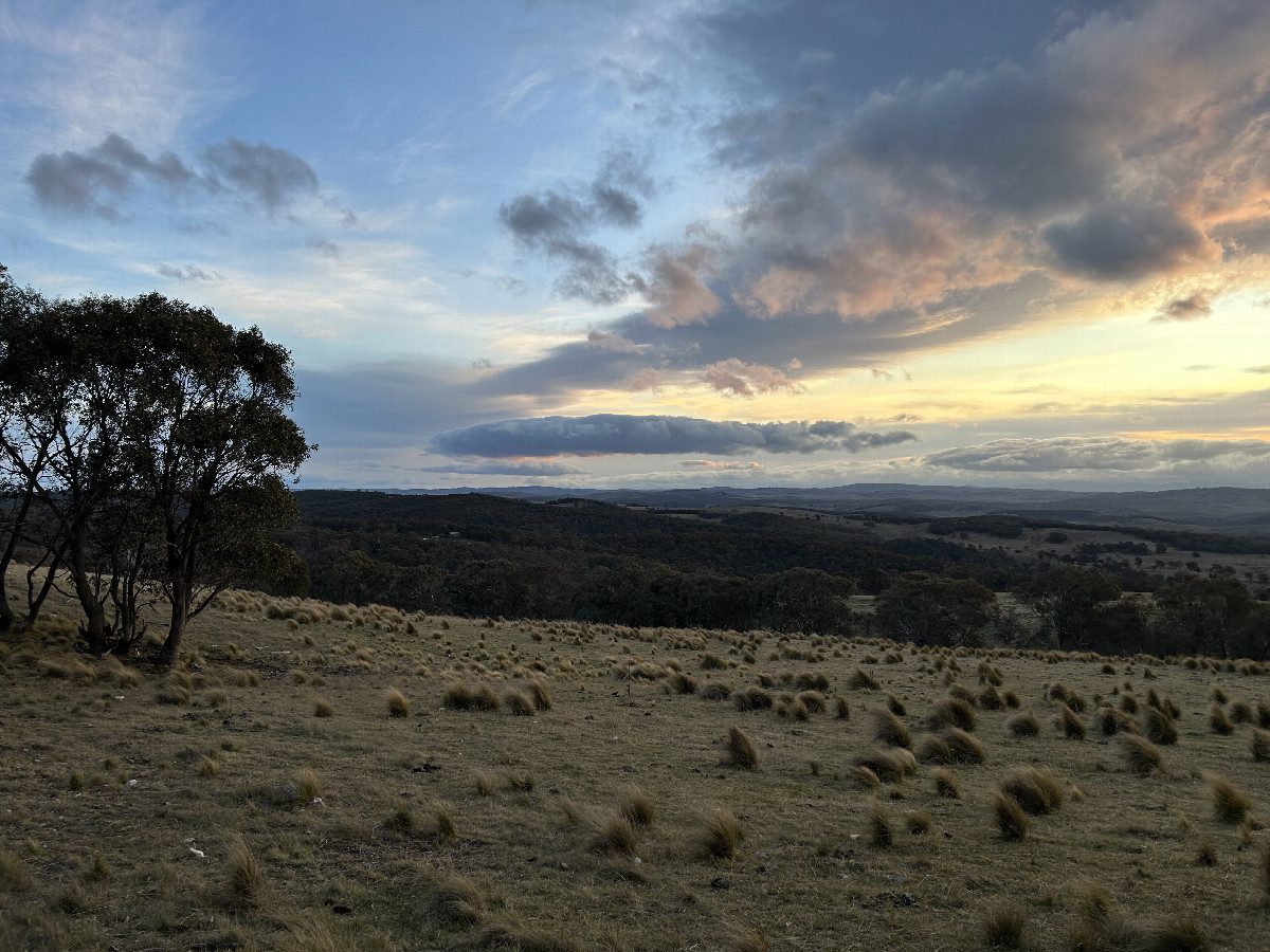 View SW from near the confluence