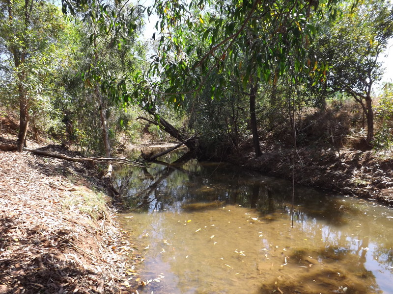 Bamboo Creek less than 70m from the confluence site