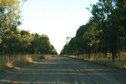 #8: Dirt Road leading to the confluence