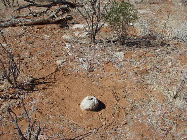 Rock buried on site of confluence