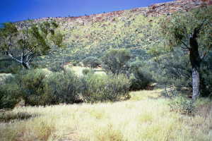 #1: A view of the confluence point, showing nearby hills
