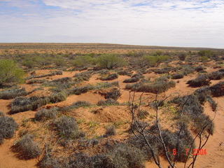 #1: View of general area