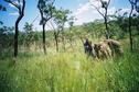 #4: Termite mounds on the hike
