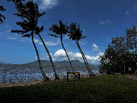 #8: Hinchinbrook Island