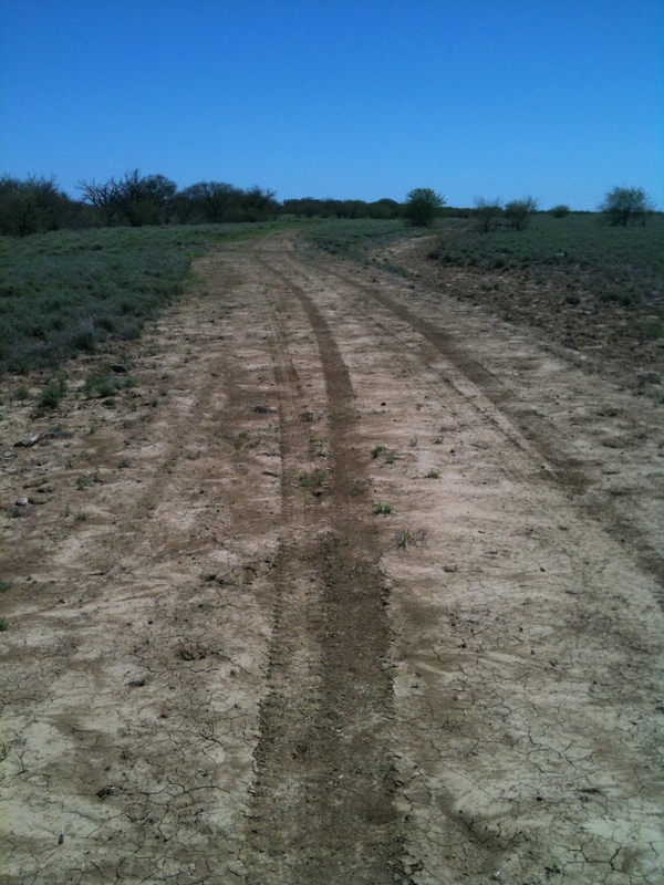 Dirt track between the road and the confluence