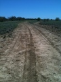 #6: Dirt track between the road and the confluence