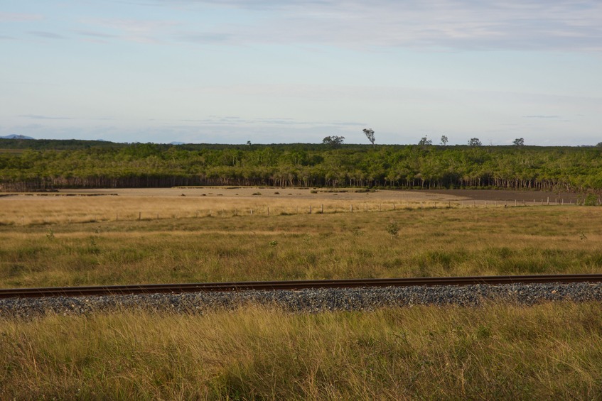 A view across the railroad tracks towards the point, 400 m away (just in front of the thick patch of mangroves)