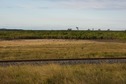 #7: A view across the railroad tracks towards the point, 400 m away (just in front of the thick patch of mangroves)