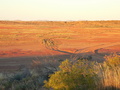 #8: Looking East from the top of a dune to the East of the Confluence