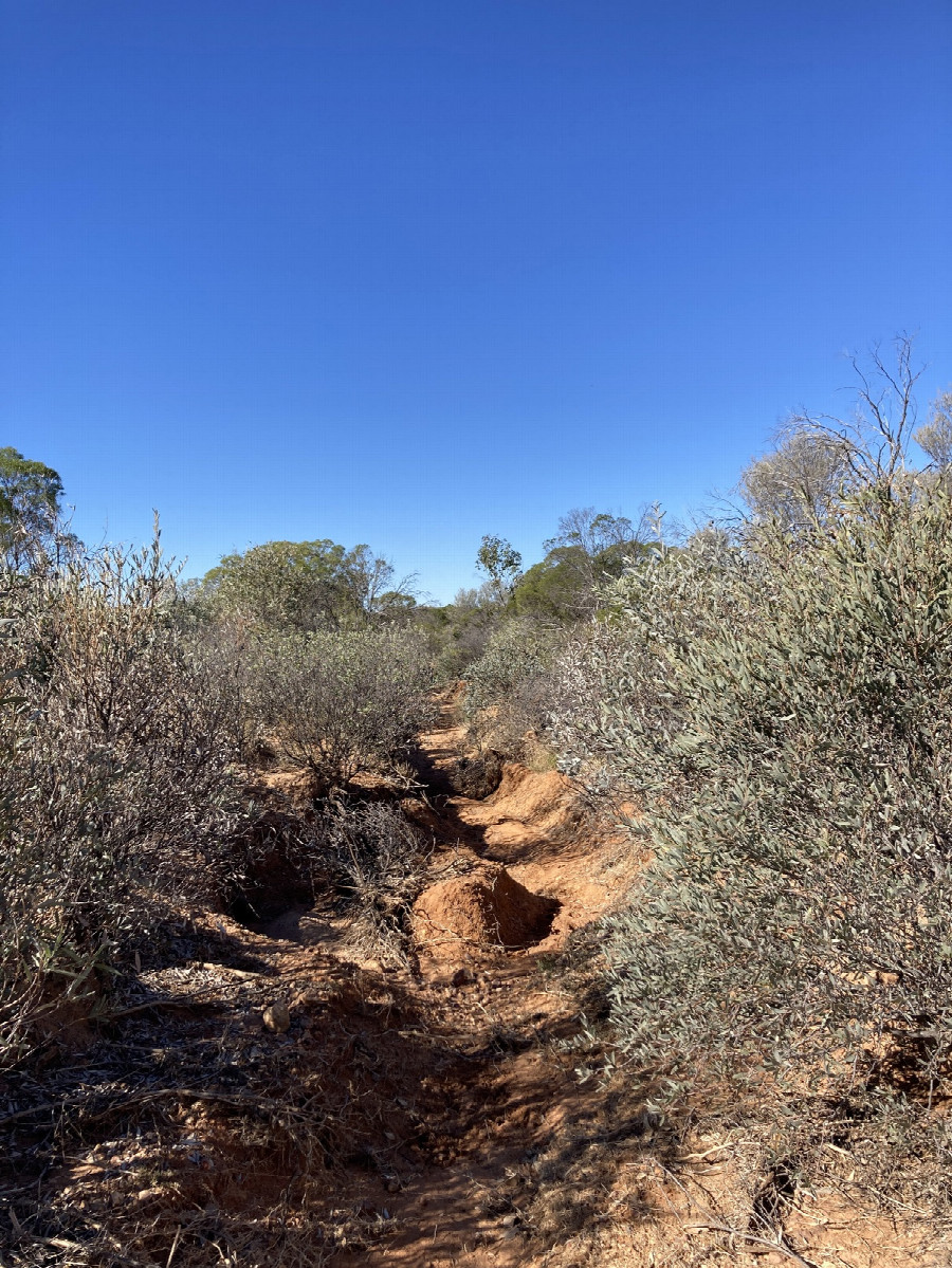 The first empty creek