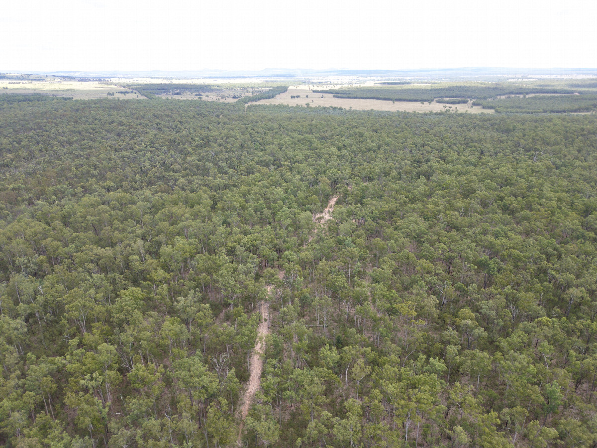 View West, from 120m above the point