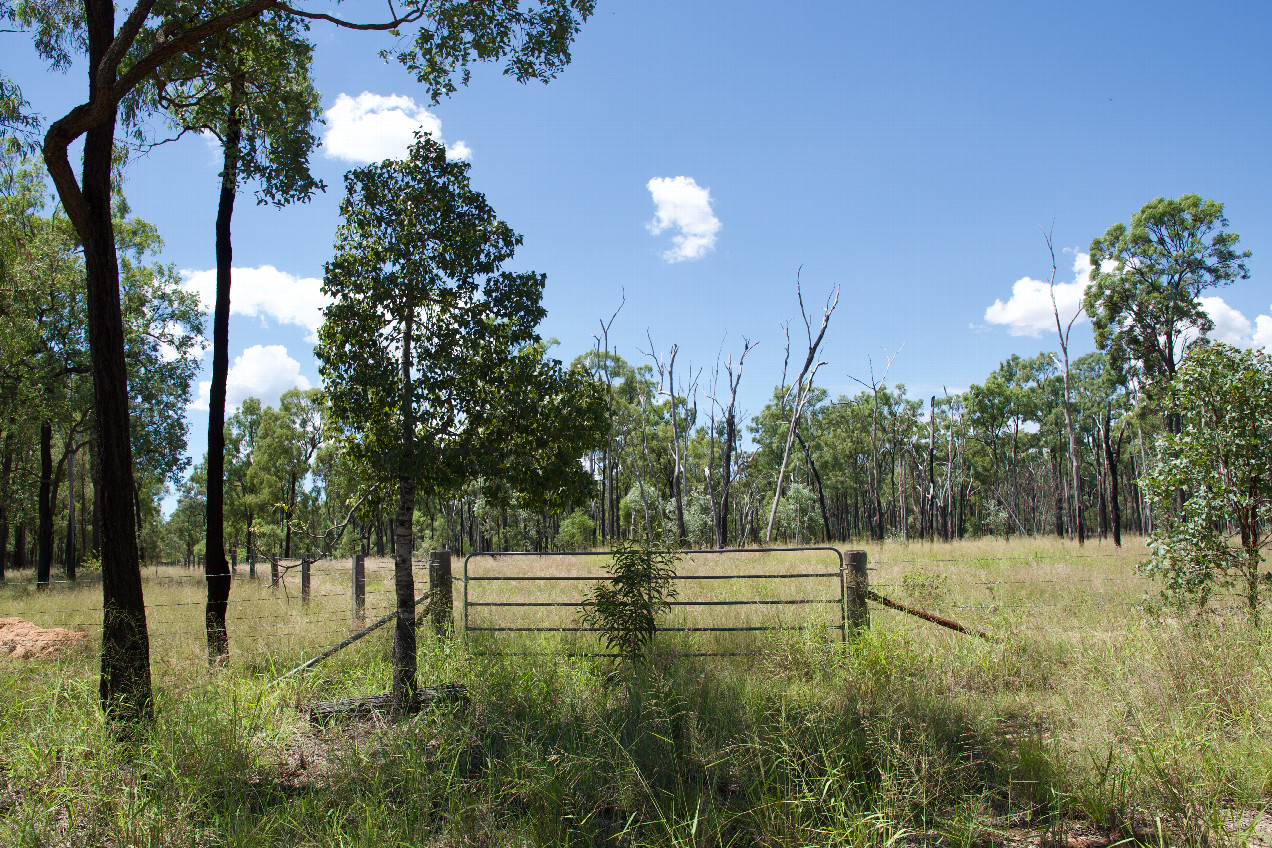 The view from where I parked (1.84 km from the point).  I crossed this gate to walk towards the point.