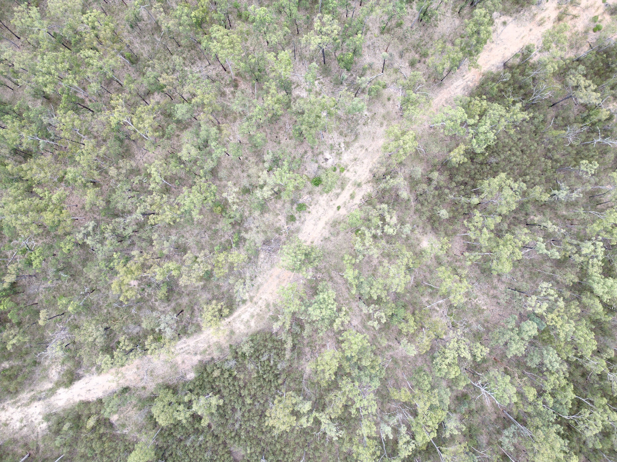 Looking down on the point from a height of 120m