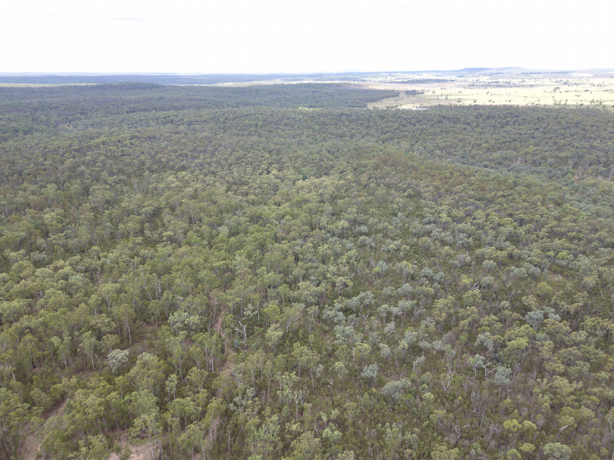 View East, from 120m above the point