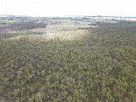 #10: View South, from 120m above the point