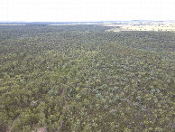 #9: View East, from 120m above the point
