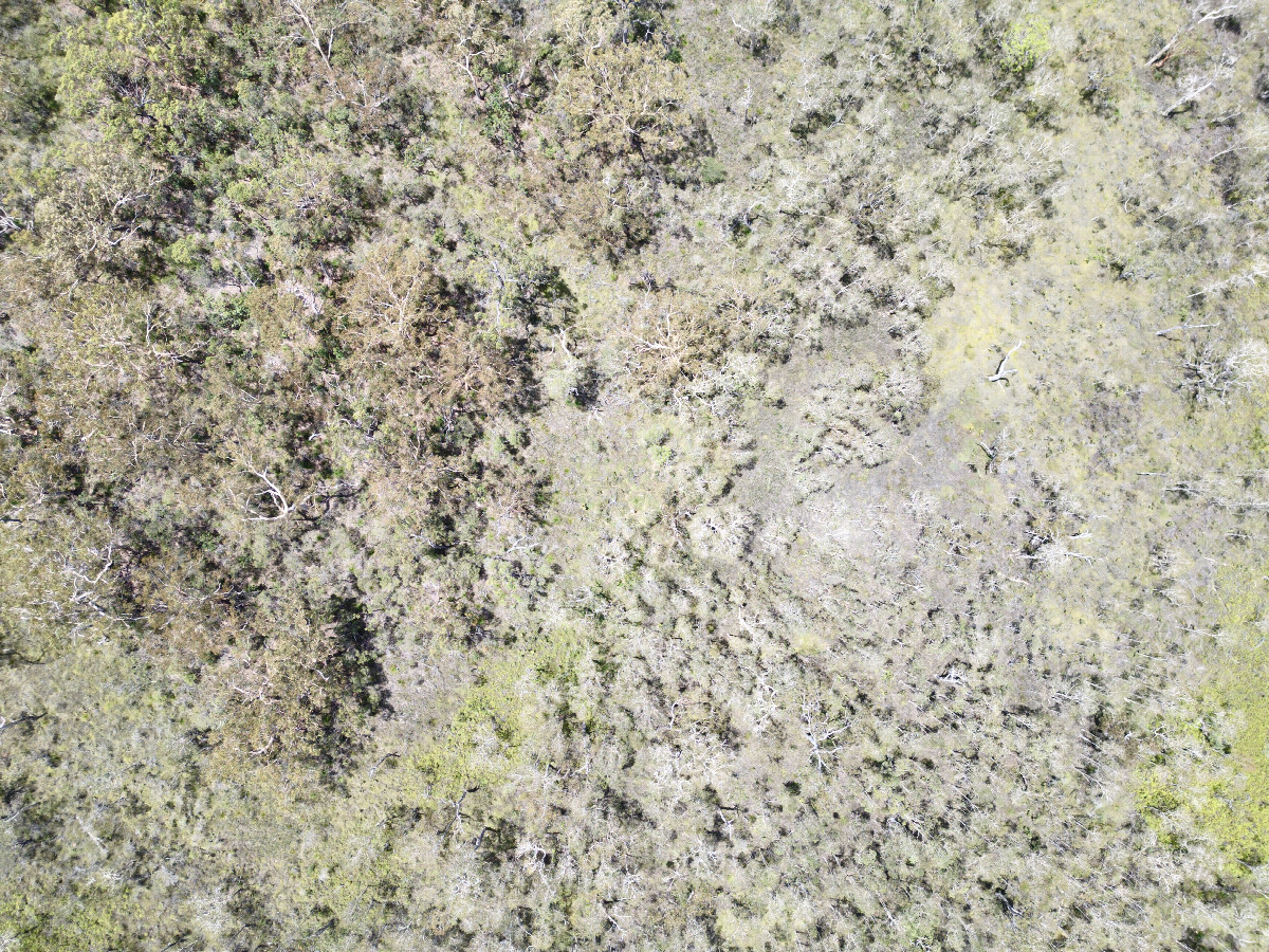 Looking down on the point from a height of 120m