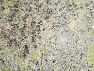 #7: Looking down on the point from a height of 120m