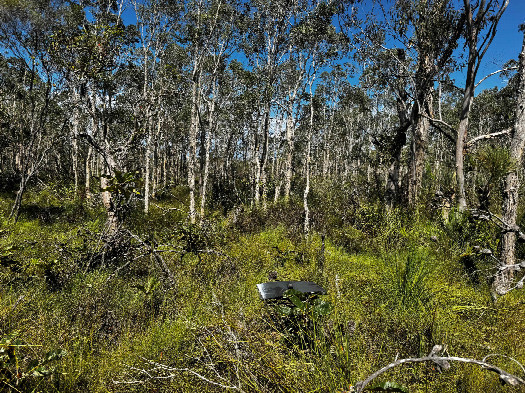 #1: der Confluence Punkt (Dies ist auch ein Blick nach Norden