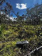 #4: Blick nach S&uuml;d