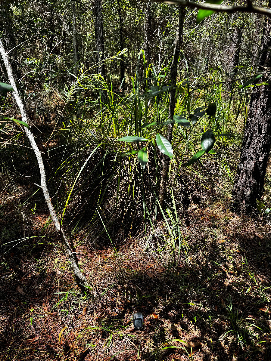 der Confluence Punkt (Dies ist auch ein Blick nach Norden)