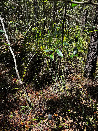 #1: der Confluence Punkt (Dies ist auch ein Blick nach Norden)