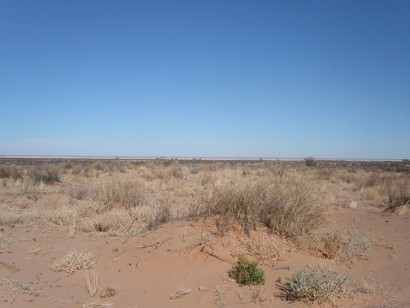Lake Eyre views 1000m from the confluence