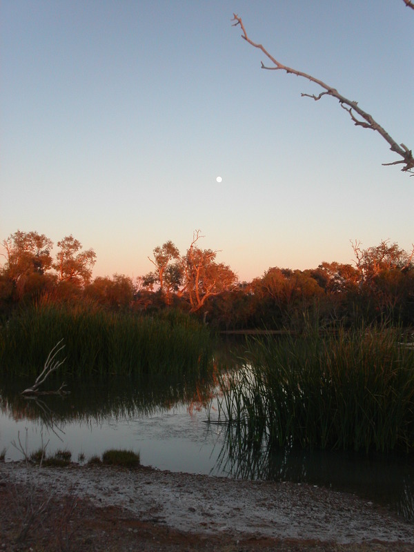Muloorina campsite, full moon at dawn