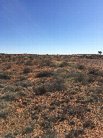 #3: View to north 