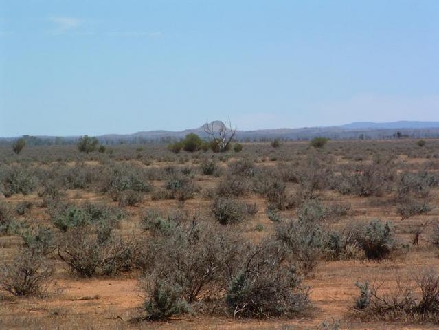The confluence site - telephoto has foreshortened view of hills