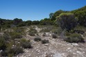 #7: Looking towards the point along the old road bed, 64 m away