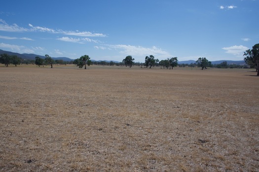 #1: The confluence point is located in a bare farm field. (This is also a view to the North.)