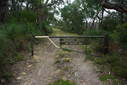 #8: The track that we followed for 600 metres before entering the bush