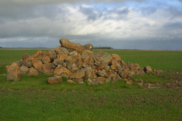 Pile of basalt in field