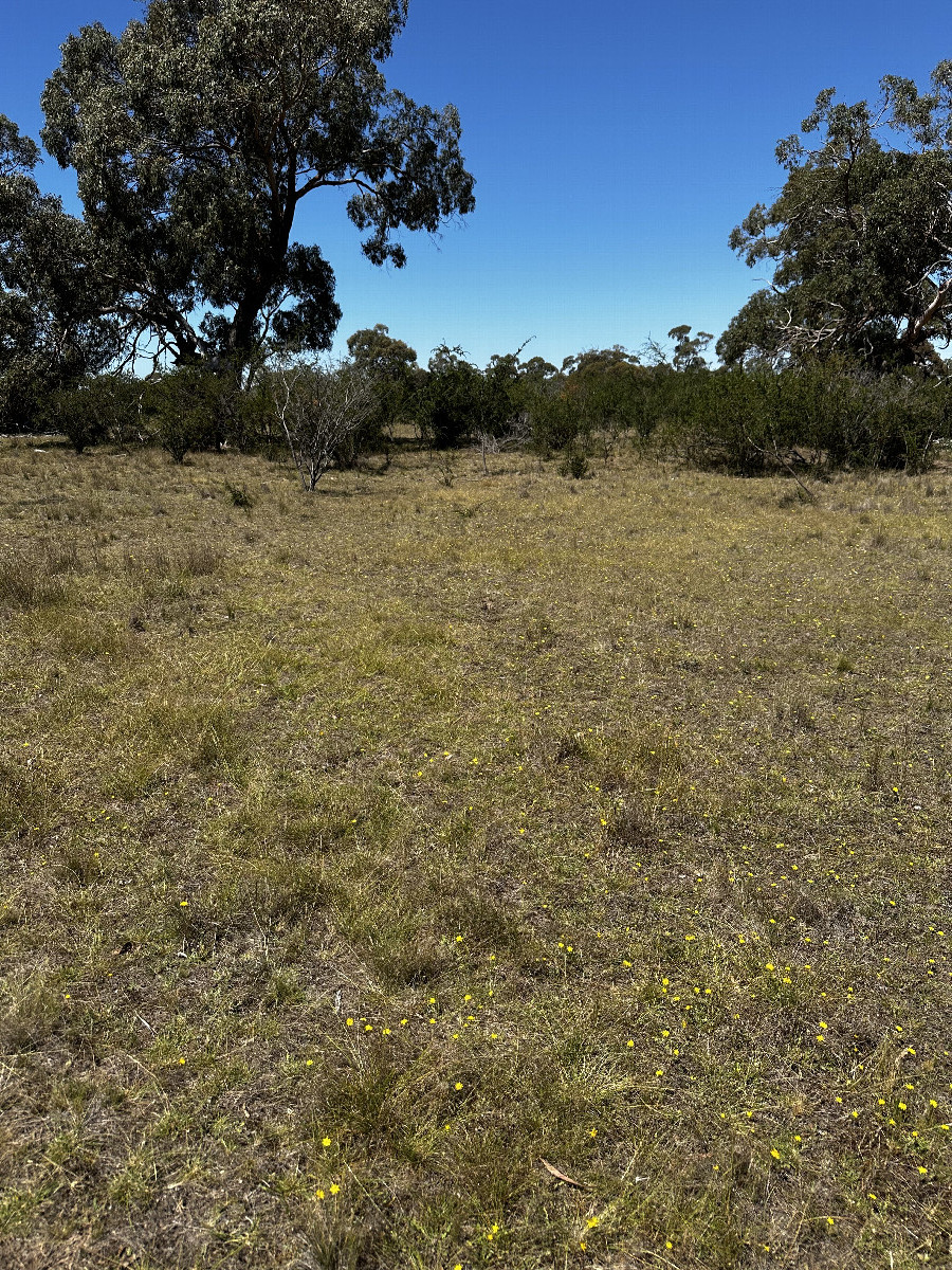 View of the confluence area