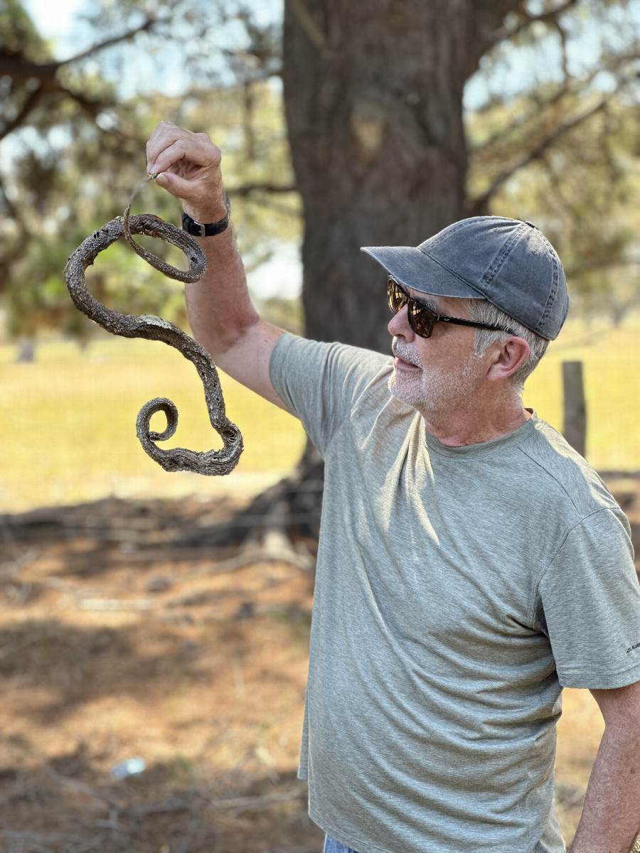 A brown snake for Rosie!