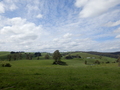 #10: Open Field above the Confluence